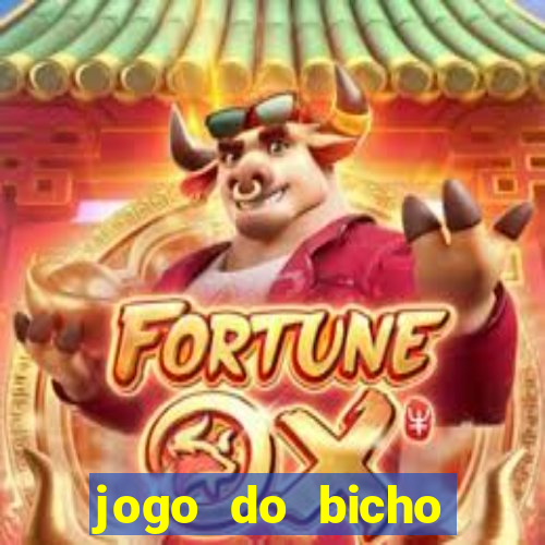 jogo do bicho crash bingo